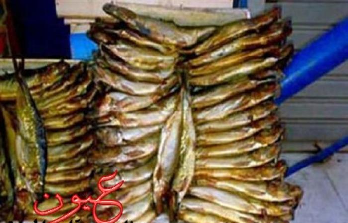 رئيس شعبة الأسماك: 25% ارتفاعاً في أسعار الفسيخ والرنجة
