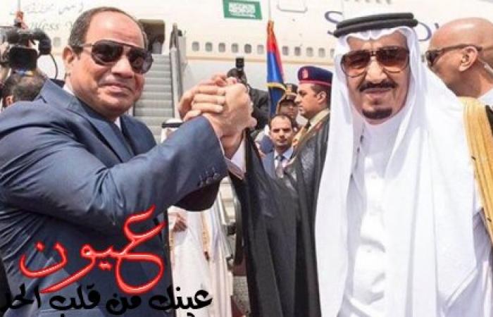بالصور || السعودية ترفع حجم استثمارتها في مصر بعد زيارة «السيسي» للمملكة