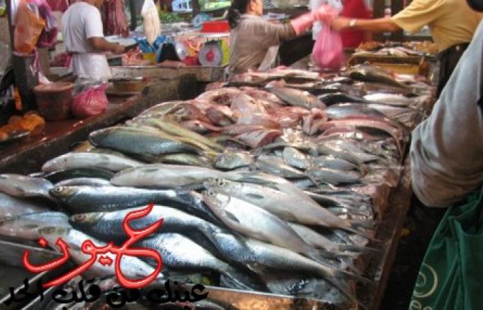 تراجع اسعار السمك في الأسواق البلطي يسجل 19 جنية للكيلو