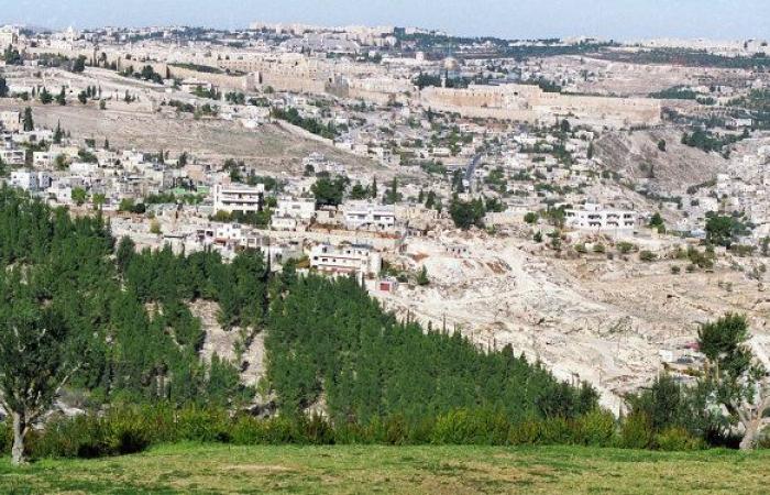 الجرافات الإسرائيلية تقتلع أشجار الزيتون جنوبي الضفة الغربية