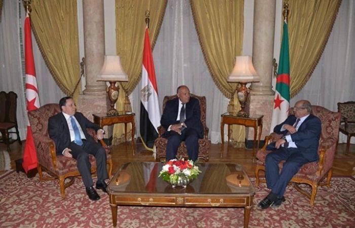 بدء اجتماع وزراء خارجية دول الجوار العربي الليبي في القاهرة