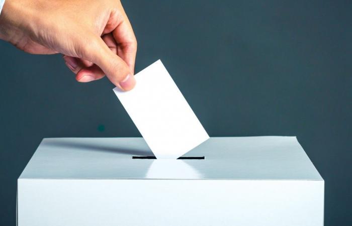 معلومات هامة عن قاعدة الناخبين واللجان في الاستفتاء على الدسور يجب التعرف عليها