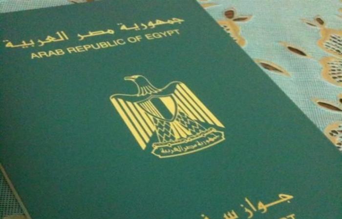 الحكومة تسحب الجنسية المصرية من 4 أشخاص بسبب «الغش والكذب»
