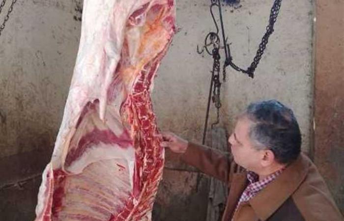 «مصر الأقل بالعالم في الزيادة».. «الزراعة» ترد على ارتفاع أسعار اللحوم