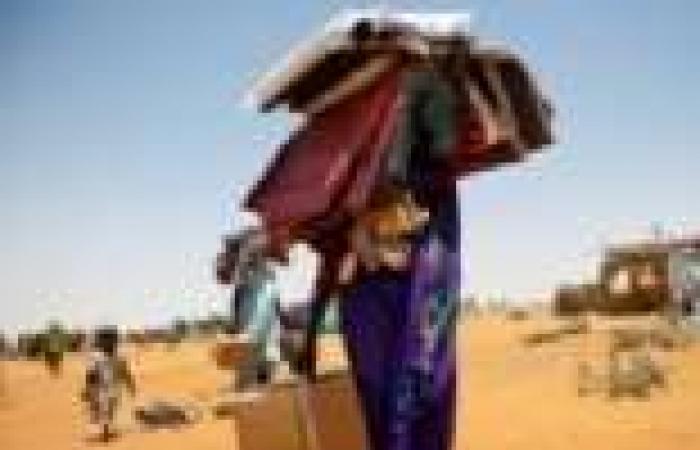 مسؤولة دولية: 300 ألف نازح بسبب القتال في دارفور