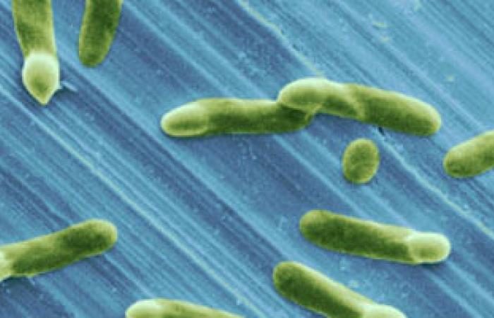 دراسة: فيتامين ج قد يخفف من مقاومة بكتيريا السل للمضادات الحيوية