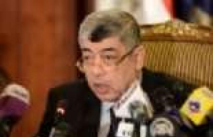وزير "الداخلية" يرفض منح 8 فلسطينيين الجنسية المصرية