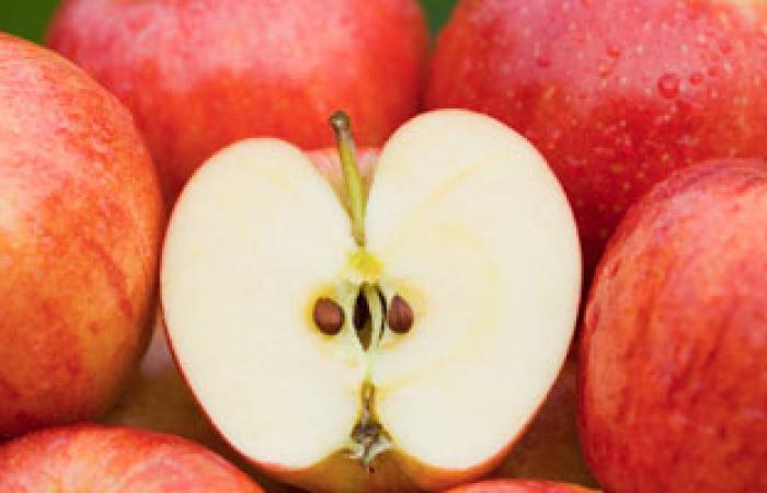 نيوزيلندا توقف تصدير التفاح إلى الصين بعد اكتشاف حالات عفن