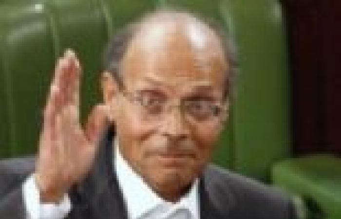 الرئيس التونسي: "الإخوان" ارتكبوا أخطاء كثيرة في مصر