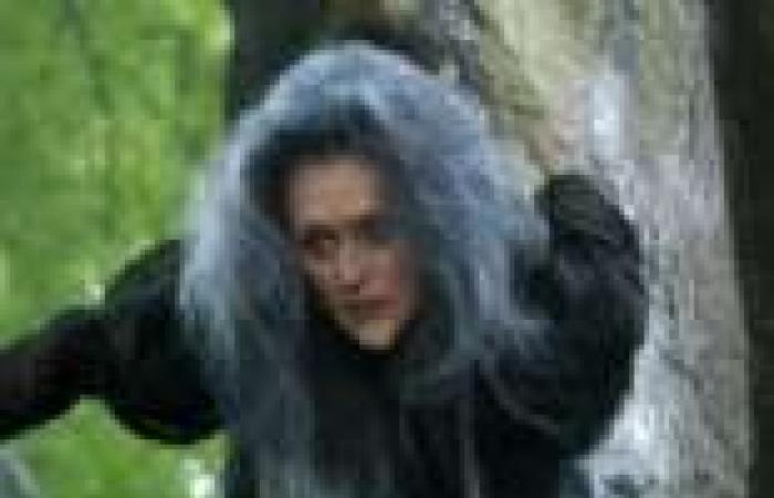 "ديزني" تطرح أول صورة لـ"ميريل ستريب" من الفيلم الجديد Into the Woods