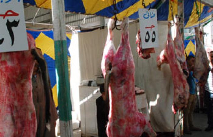 غدا أول يوم لتطبيق منع ذبح البتلو وتوقعات بزيادة فى أسعار اللحوم
