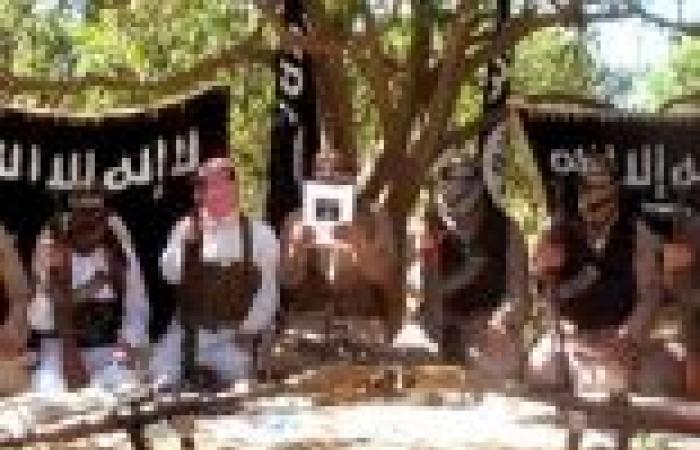 عاجل| مصرع 7 من "أنصار بيت المقدس" برصاص البدو في الشيخ زويد