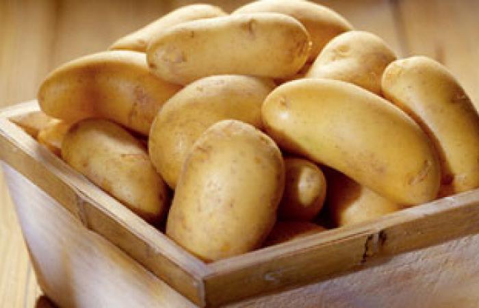 ارتفاع أسعار البطاطس فى روسيا والاستعداد لشراء كميات كبيرة من مصر