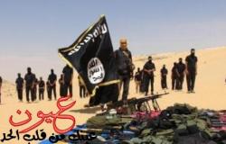 باحثة: «صاعقات القلوب» يثبت فبركة داعش للفيديوهات