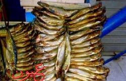 رئيس شعبة الأسماك: 25% ارتفاعاً في أسعار الفسيخ والرنجة