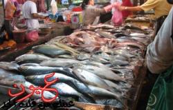 تراجع اسعار السمك في الأسواق البلطي يسجل 19 جنية للكيلو