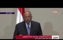 وزير الخارجية المصري " لا تفاوض مع قطر بشأن نقاط الخلاف الرئيسية "