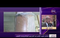 الأخبار - استمرار توريد القمح من المزارعين لصوامع وزارة التموين