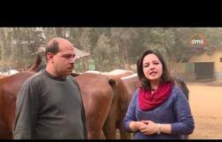 8 الصبح - حور خاص مع ( د/ هشام فكري - د/ محمد يوسف ) عن تربية الخيول العربية الأصيلة