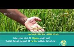 8 الصبح - زراعة الأرز بالتكثيف .. طرق مبتكرة لتوفير المياه