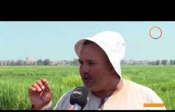 الأخبار - نجاح تجارب الأرز الموفر للمياه ... وخطة لتعميم زراعته بمصر