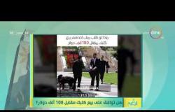8 الصبح - رامي رضوان يعرض فيديو ( هل توافق على بيع كلبك مقابل 100 ألف دولار ؟ "