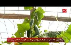عمرو أديب يتناول خضروات صوبات المشروع القومي للصوب الزراعية