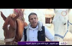 الأخبار - دمو بالفيوم .. قرية الألف مدرب للخيول العربية
