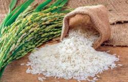 رئيس شعبة الأرز للمواطنين: انخفاض سعر الكيلو بداية من هذا الوقت