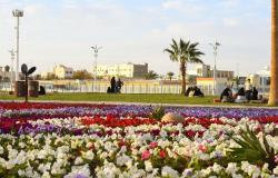 ما هي أبرز المناطق السعودية زراعة للزهور والأشجار؟ - #عاجل