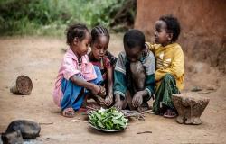 مسؤولون دوليون: 3.5 تريليونات دولار خسائر العالم بسبب سوء التغذية