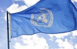 الأمم المتحدة: الاقتصاد العالمي سيتباطأ بشكل أكثر حدة في 2024