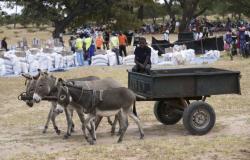 الجوع يلاحق الملايين بسبب جفاف الجنوب الأفريقي