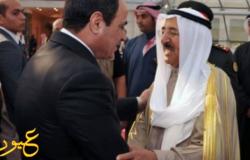 قرار إلغاء الجمارك علي “الدواجن” يتسبب في مشكلة مع الكويت