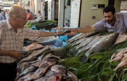 حملات لمراقبة الأسماك الطازجة والمدخنة والمملحة بالإسكندرية