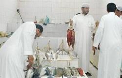 «الجمبري» يرفع أسعار الأسماك في طيبة 20%