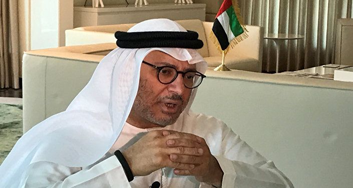 وزير خارجية الإمارات أنور قرقاش