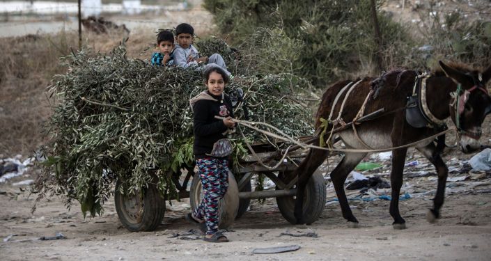 أطفال البجو الصغار بالقرب من معبر إيريز في بيت حانون، قطاع غزة، فلسطين، 7 ديسمبر/ كانون الأول 2016