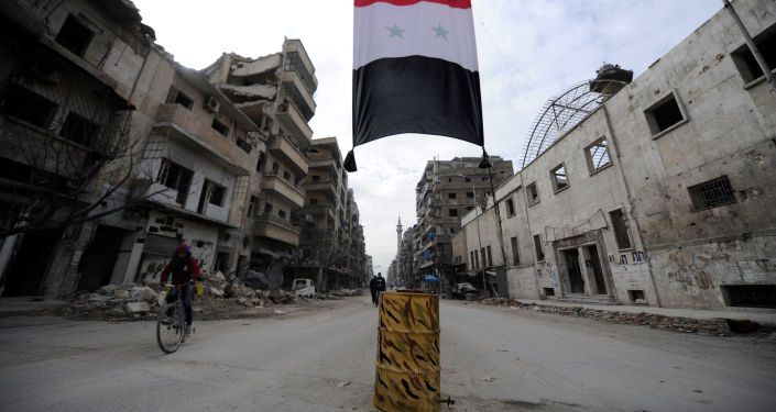 العلم السوري في حلب، سوريا 30 يناير/ كانون الثاني 2017