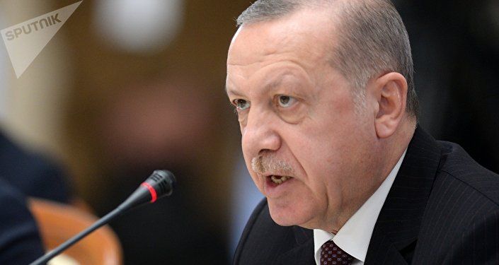 الرئيس التركي رجب طيب أردوغان في لقاء سوتشي، روسيا 14 فبراير/ شباط 2019