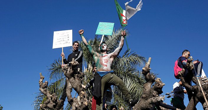 المتظاهرون في الجزائر العاصمة