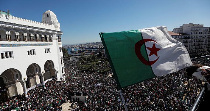 مظاهرات حاشدة في الجزائر احتجاجا على عبد العزيز بوتفليقة