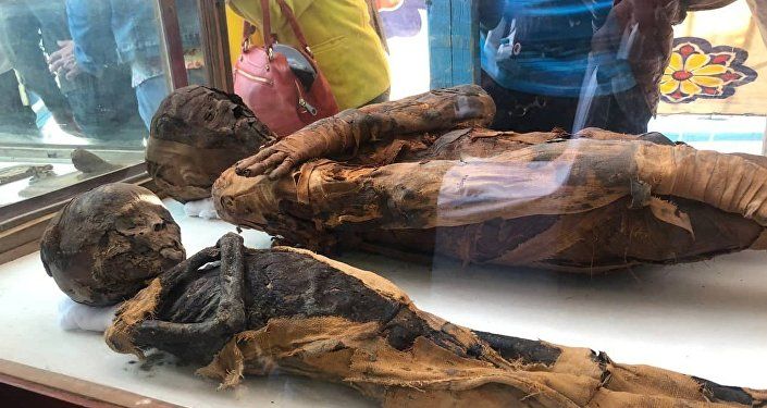 الكشف عن مقبرة أثرية في مصر يعود تاريخها إلى العصر البطلمي