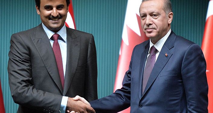 رجب طيب أردوغان مع أمير قطر تميم بن حمد آل ثاني