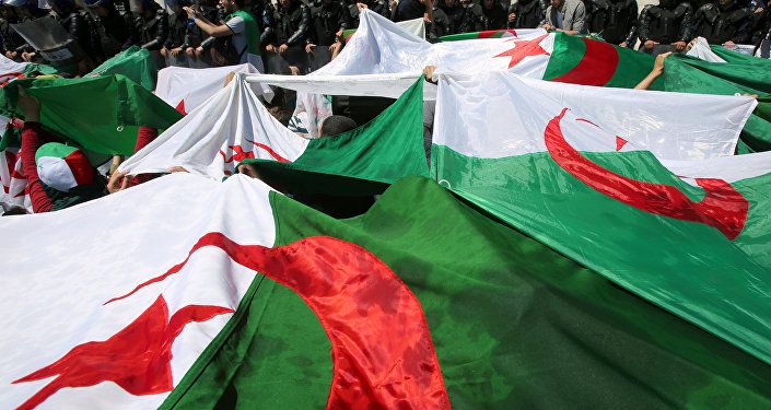 استمرار الاحتجاجات في الجزائر، 17 مايو/ أيار 2019