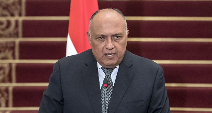 وزير الخارجية المصري سامح شكري، 5 مارس/ آذار 2019