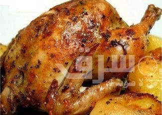 zabady 1398984746 - شاهد.. طريقة عمل دجاج مشوى بتتبيلة الزبادى
