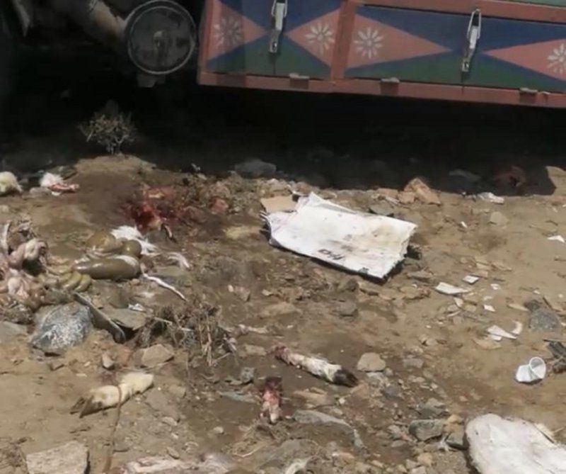 أمانة محافظة الطائف ترصد 22 حالة ذبح عشوائي