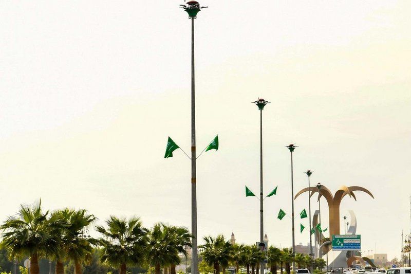 مباني وشوارع تبوك تتوشح باللون الأخضر ابتهاجاً باليوم الوطني