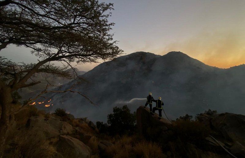 الدفاع المدني والجهات المساندة تواصل جهودها في إخماد حرائق الغابات بتنومة